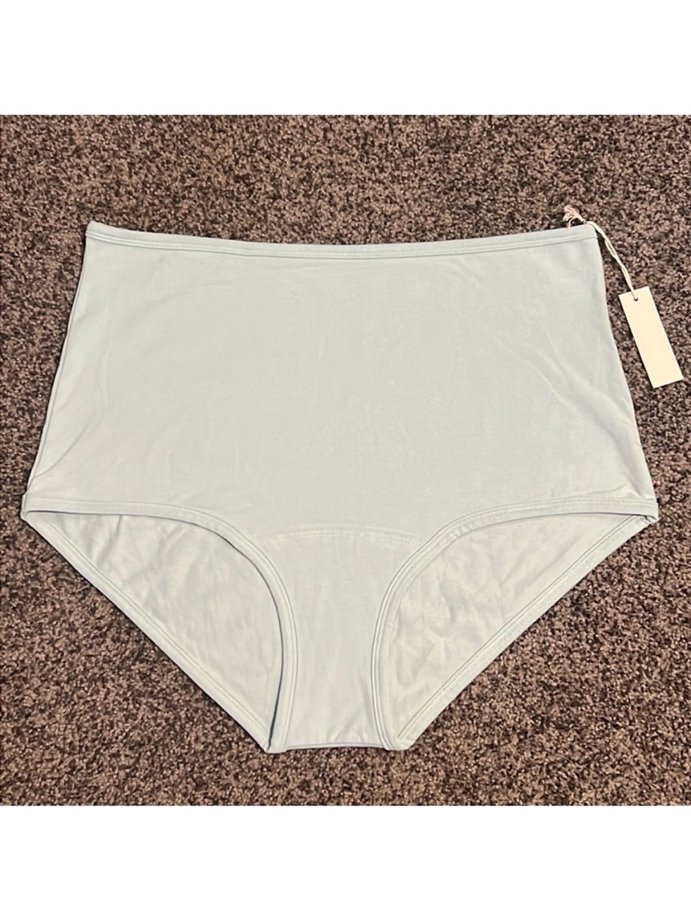 ARQ Women’s High-waisted Underwear Light Blue Size 3X NWT